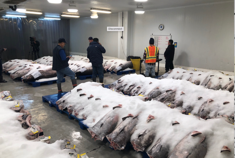 Hawaii longliners land swordfish under new MSC certification National